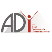 AUDIT DIAGNOSTIC INFORMATION – Expert-comptable logo