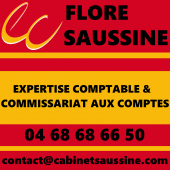 @ FLORE SAUSSINE SOCIETE D'EXPERTISE COMPTABLE – Expert-comptable logo