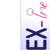 EX-INE – Expert-comptable logo