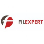 FILEXPERT – Expert-comptable logo