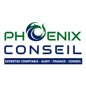 NDIAYE BOUYA – Expert-comptable logo