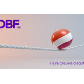 DBF AUDIT – Expert-comptable logo