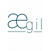 AEGIL CONSEIL – Expert-comptable logo