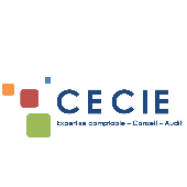 CECIE - CABINET D'EXPERTISE COMPTABLE DE L'ISERE – Expert-comptable logo