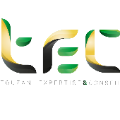 TEC - TOUZANI EXPERTISE & CONSEIL – Expert-comptable logo