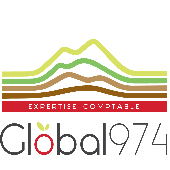 GLOBAL974 – Expert-comptable logo