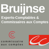 BRUIJNSE CHARTERED ACCOUNTANTS & AUDITORS – Expert-comptable logo