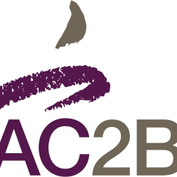 ASSOCIATION DE COMPTABILITE BEARN BIGORRE – Expert-comptable logo