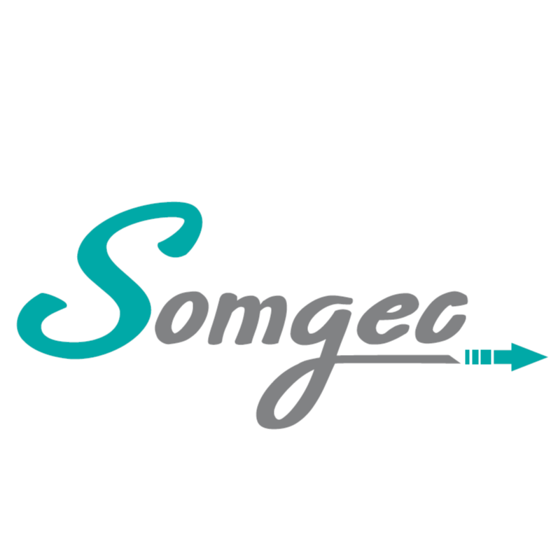 SOMGEC – Expert-comptable logo
