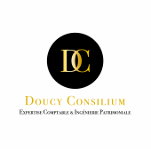 DOUCY CONSILIUM – Expert-comptable logo