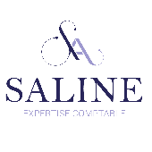 SALINE EXPERTISE – Expert-comptable logo