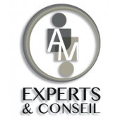 AM EXPERTS ET CONSEIL – Expert-comptable logo