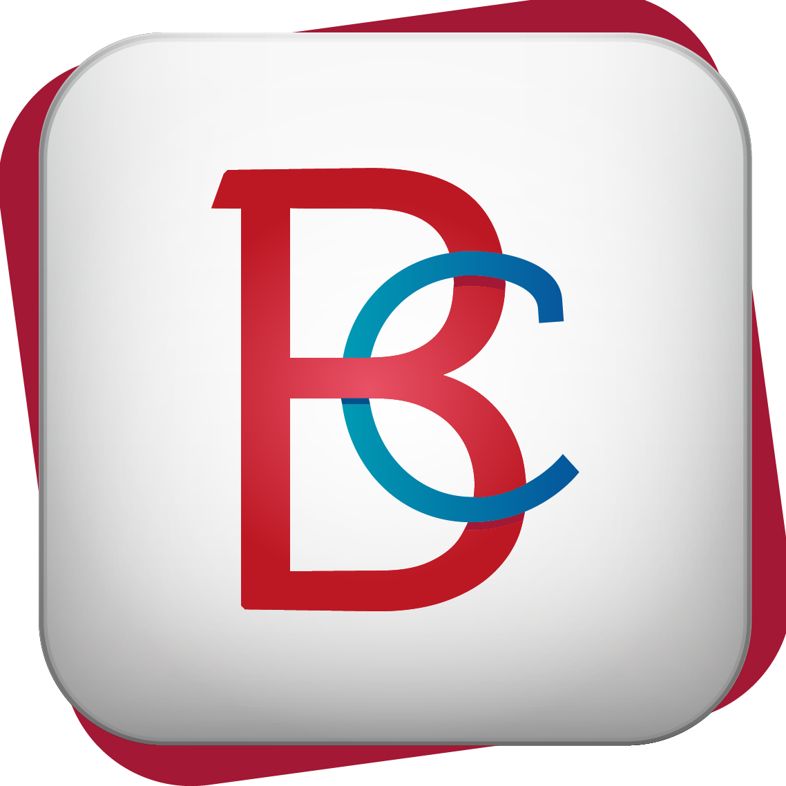LBS BONNIOL CONSEIL – Expert-comptable logo
