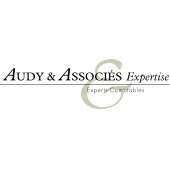 AUDY & ASSOCIES EXPERTISE – Expert-comptable logo