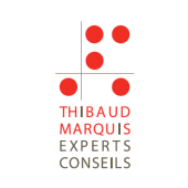 TM EXPERTS CONSEILS – Expert-comptable logo
