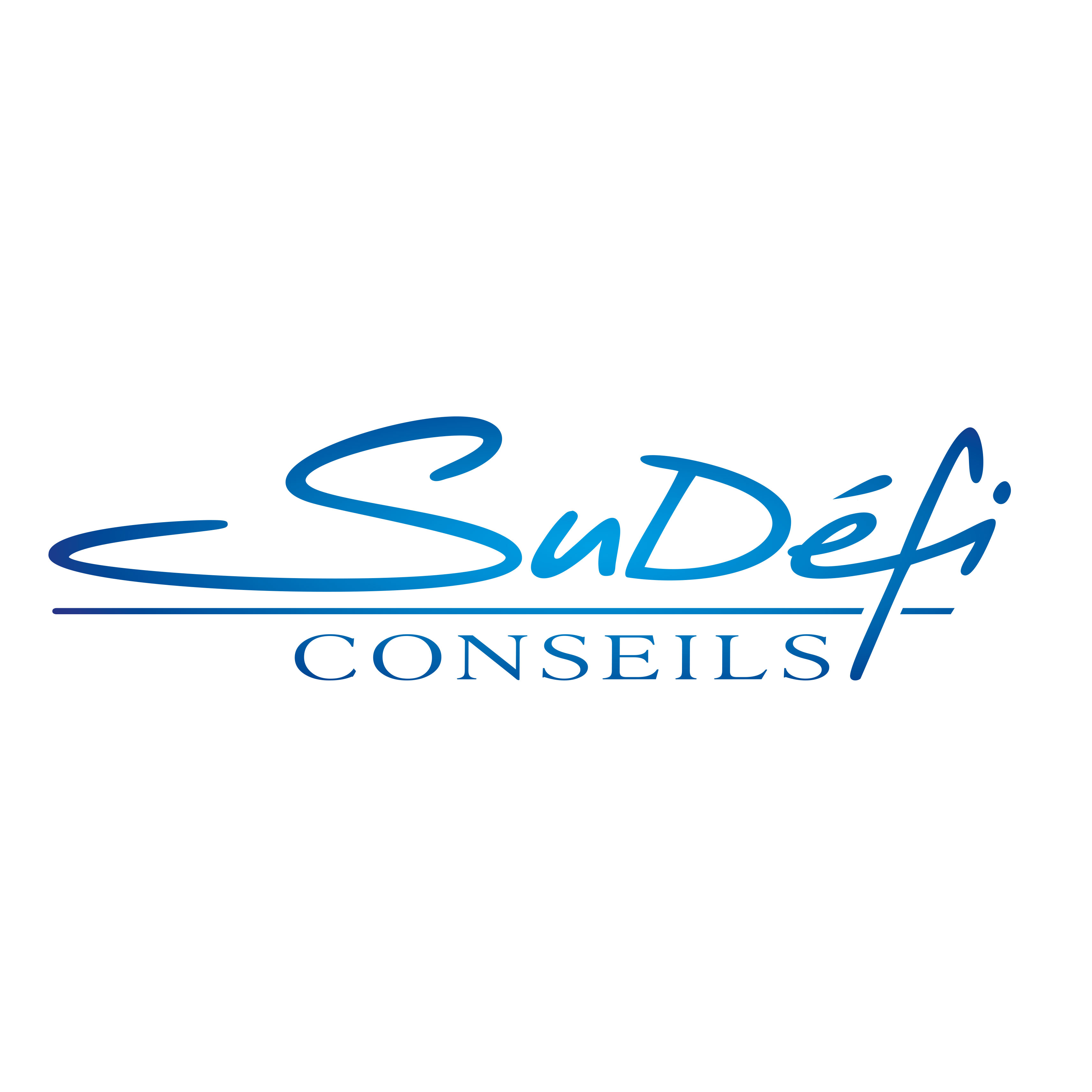 SUDEFI CONSEILS – Expert-comptable logo