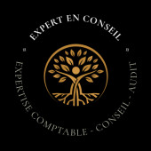 BERGUIGA FATHI – Expert-comptable logo