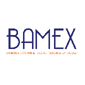 BAMEX – Expert-comptable logo