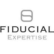 SOCIETE FIDUCIAIRE NATIONALE D'EXPERTISE COMPTABLE FIDEXPERTISE – Expert-comptable logo