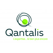 QANTALIS EXPERTISE – Expert-comptable logo