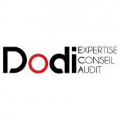DODI EXPERTISE CONSEIL AUDIT – Expert-comptable logo
