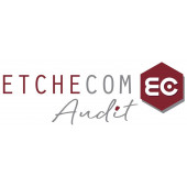 ETCHECOM AUDIT – Expert-comptable logo