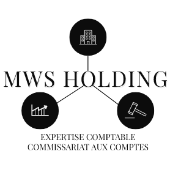 MWS HOLDING – Expert-comptable logo