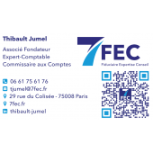 7 FIDUCIAIRE EXPERTISE CONSEIL – Expert-comptable logo