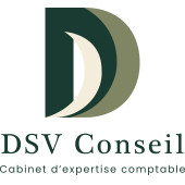 DSV CONSEIL – Expert-comptable logo