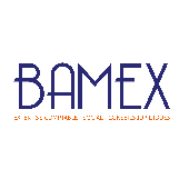 BAMEX TOURS – Expert-comptable logo