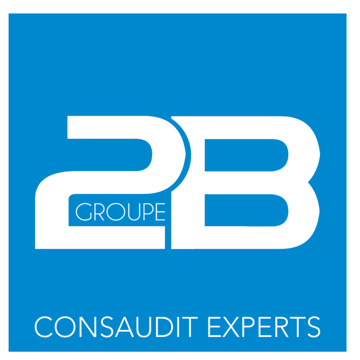 CONS@UDIT EXPERTS SOCIETE D'EXPERTISE COMPTABLE – Expert-comptable logo