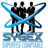 SYGEX EXPERTISE COMPTABLE – Expert-comptable logo